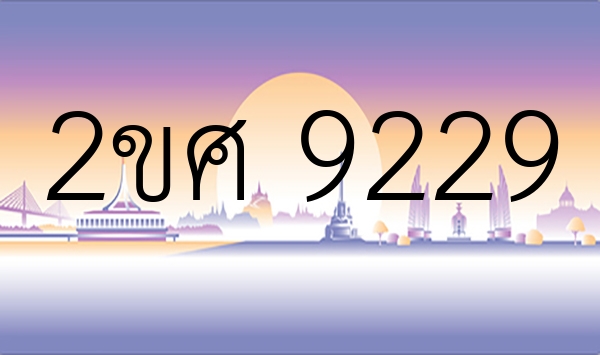 2ขศ 9229